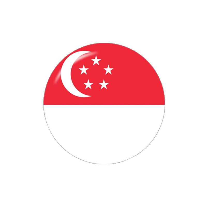 Asia Flag China Thailand Singa - Jewelry Making Singapore reseña y precio
